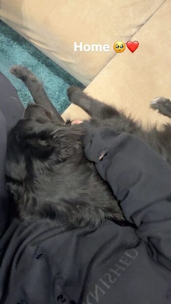 Alanah pearce page leaked private photo uncensored HD quality