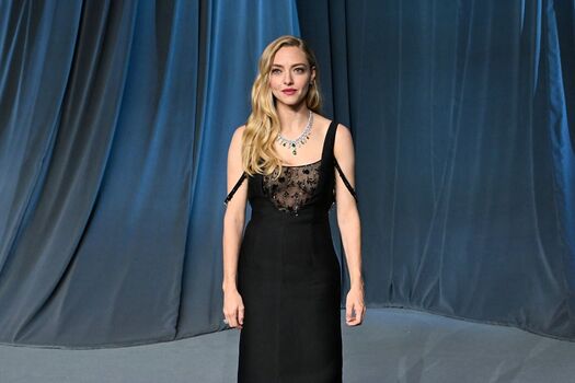 Amanda seyfried  page leaked private photo uncensored HD quality