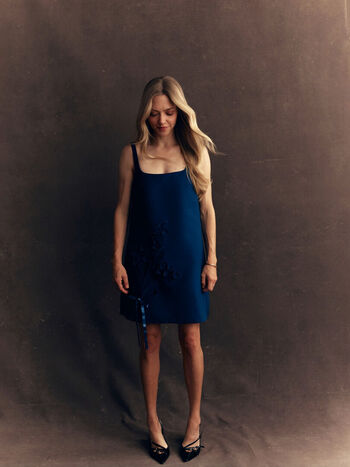 Amanda seyfried leaked private photo uncensored HD quality