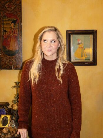 Amy schumer leaked private photo uncensored HD quality