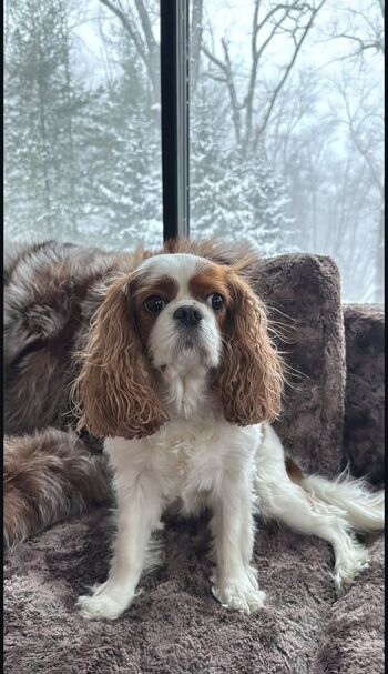 Ashley tervort  page leaked private photo uncensored HD quality