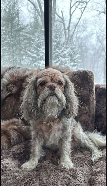 Ashley tervort  page leaked private photo uncensored HD quality