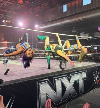 Bayley page leaked private photo uncensored HD quality