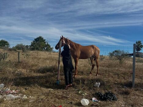 Billie eilish  page leaked private photo uncensored HD quality