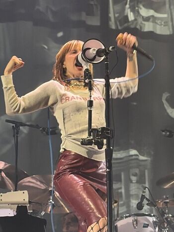 Hayley williams  page leaked private photo uncensored HD quality