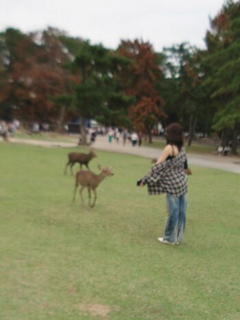 Kazuha nakamura  page leaked private photo uncensored HD quality