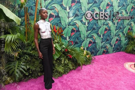 Lupita nyong o page leaked private photo uncensored HD quality