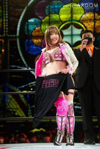 Mina shirakawa page leaked private photo uncensored HD quality