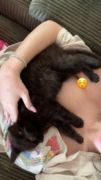 Nnevelpappermann leaked private photo uncensored HD quality