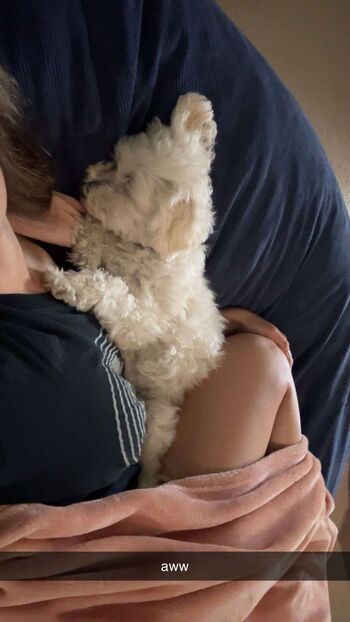Sara dobrik page leaked private photo uncensored HD quality