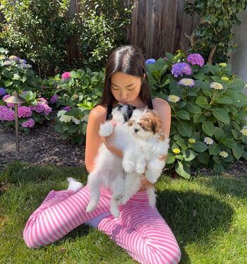 Shannon zhao leaked private photo uncensored HD quality