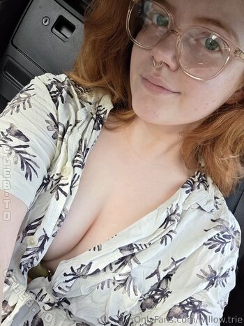 Willow trie page leaked private photo uncensored HD quality